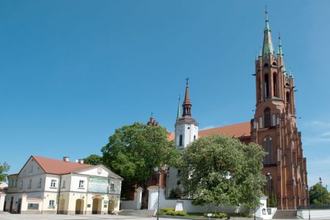 Sanktuarium NMP Matki Miłosierdzia w Katedrze Białostockiej